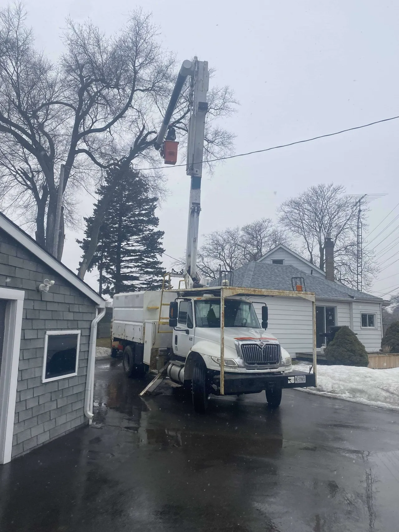 Tree trimming by greencare service equipment