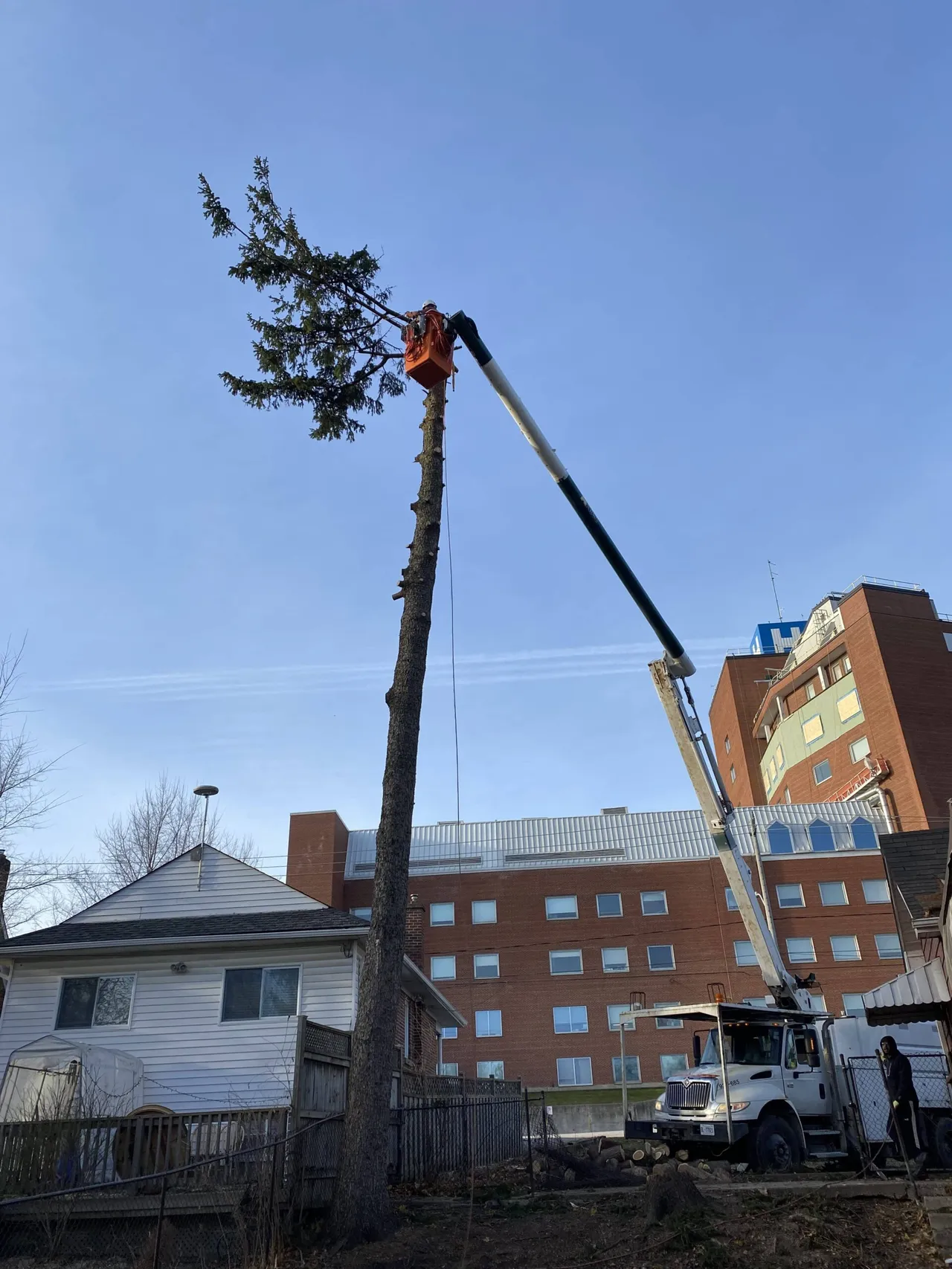 Arborists Expert - Greencare Tree Removal Equipment