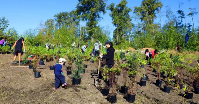 Top Tree Charities for Businesses in Kitchener-Waterloo-Cambridge