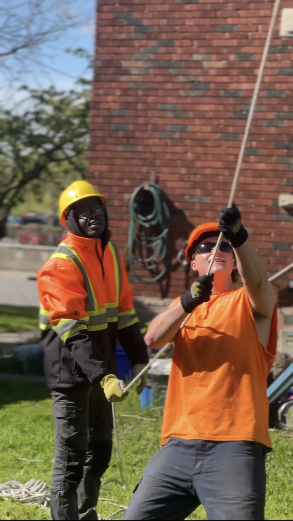 Two GreenCare employee's using rope to guide a falling tree