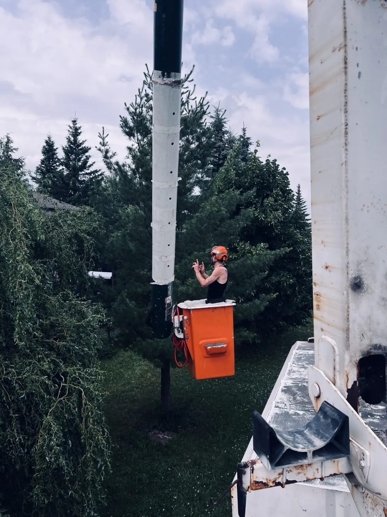 A GreenCare tree service team member in a lift trimming trees