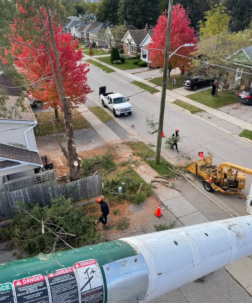 Tree Pruning