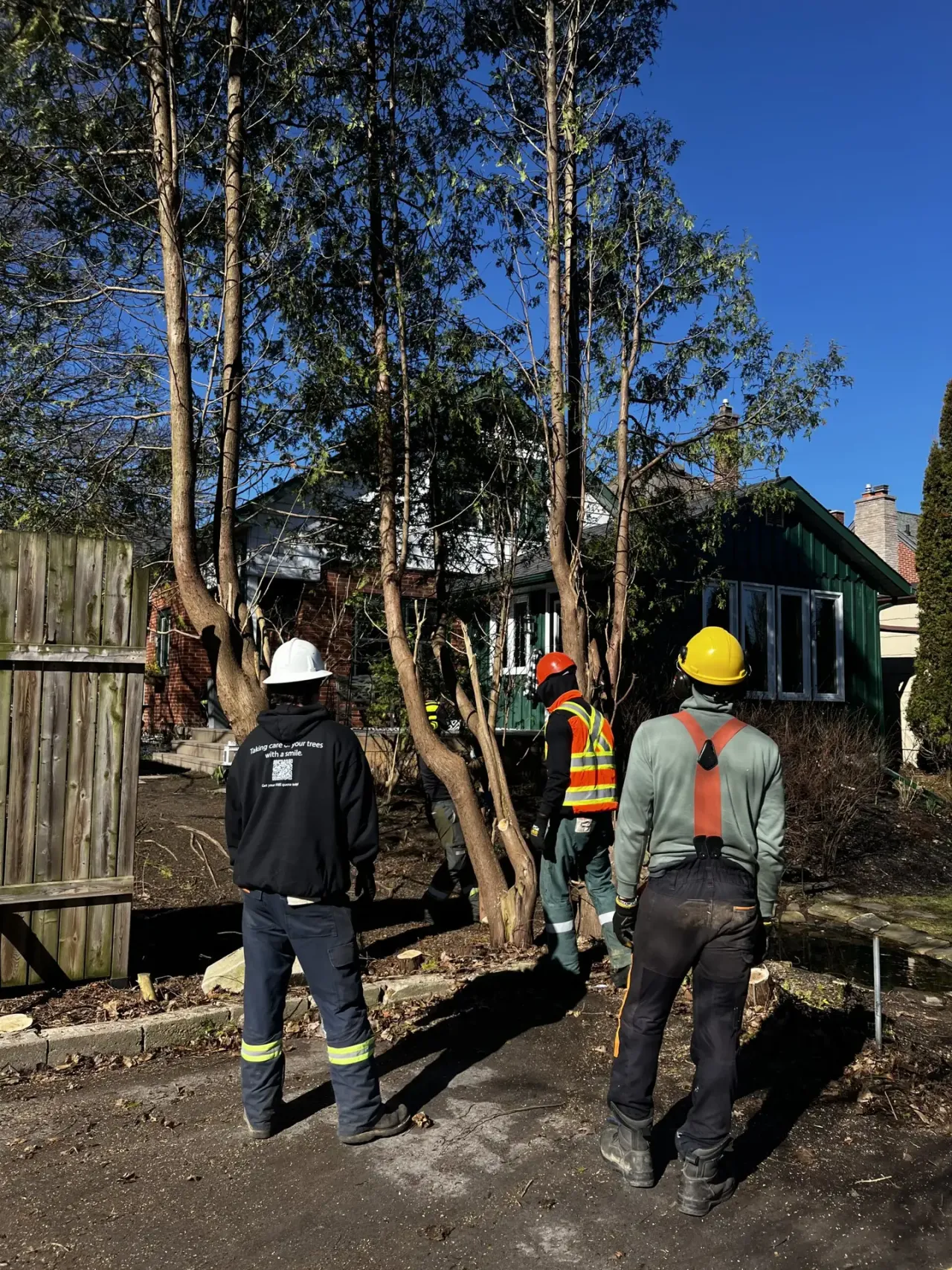 GreenCare tree service team cleaning up branches